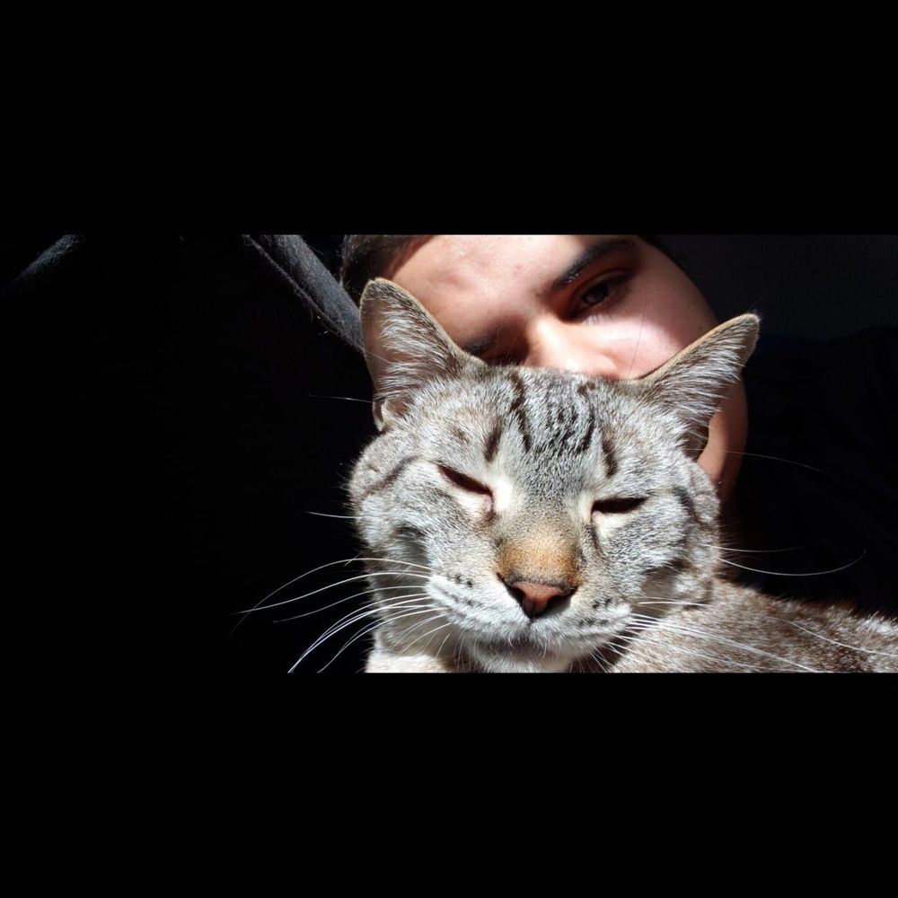 Meet your Posher, Logan